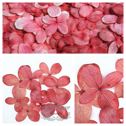 12 PCS/Set (0.8-3CM) Pressed Real Hydrangea Flower, Preserved Dried Flat Flowers, Pressed Dried Real Flowers , Pressed Red Hydrangea Flowers