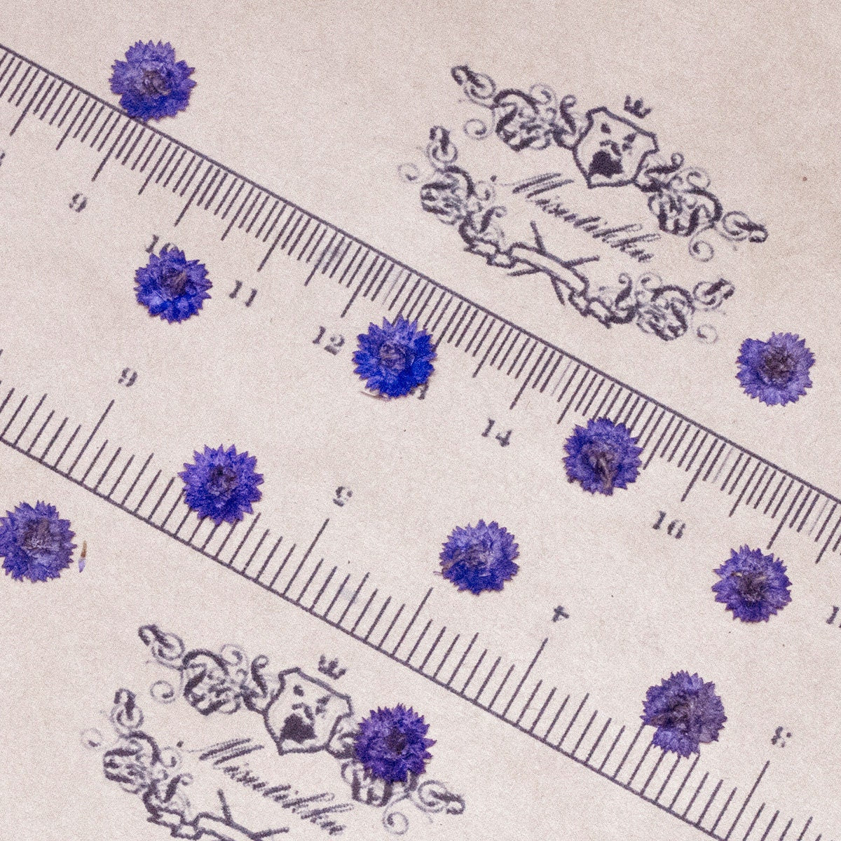 20 PCS/Set (0.5-1CM) Small Pressed Dried Flowers Real Purple Apricot Flower Pressed Tiny Blue Purple Flowers Flat Wild Dry preserved Flowers