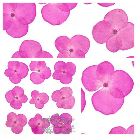 20 PCS/Set (2-3CM) Pressed Dried Hydrangea Flower, Hot Pink Hydrangea Real Flowers, Pressed flat Flowers, Pressed Hydrangea Dried Flower