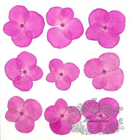 20 PCS/Set (2-3CM) Pressed Dried Hydrangea Flower, Hot Pink Hydrangea Real Flowers, Pressed flat Flowers, Pressed Hydrangea Dried Flower