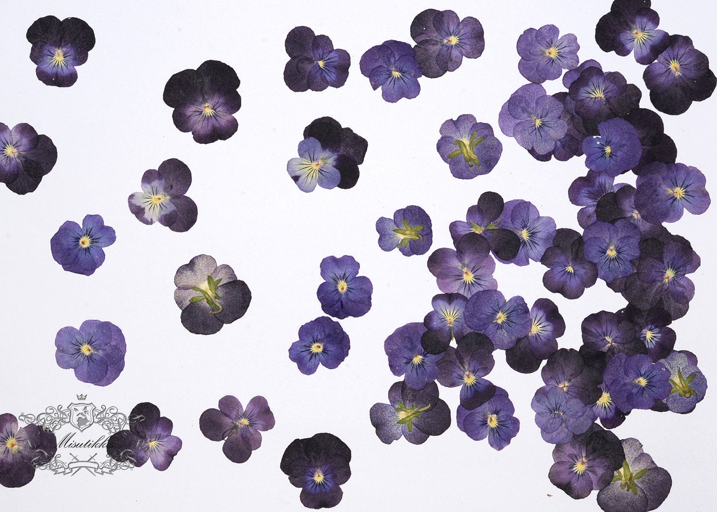 20 PCS Set (2-3CM) Pressed Real Flower Purple Pansy Flowers Dry Natural Flowers Dried Flat Purple Viola Pansies Flower Preserved Flowers