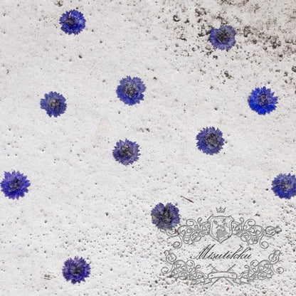 20 PCS/Set (0.5-1CM) Small Pressed Dried Flowers Real Purple Apricot Flower Pressed Tiny Blue Purple Flowers Flat Wild Dry preserved Flowers