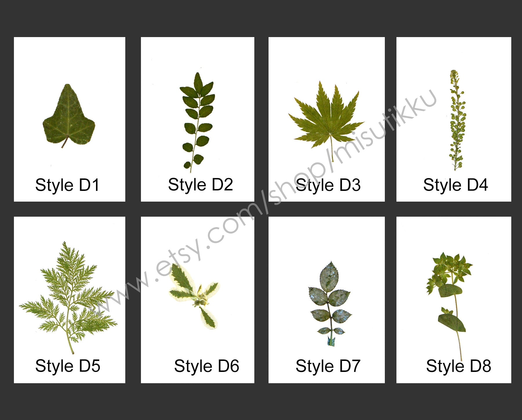 20 PCS/Pack (4-8CM) Pressed Flower Leaves Real dried Leaf Flat pressed wildflowers Fern Pressed Real Green leaves Floral Foliage Stems