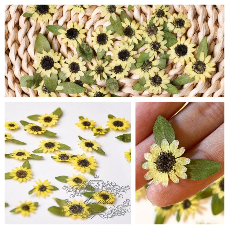 20 PCS Set (2-4CM) Pressed Mini Sunflower Pressed Tin Flower Real Dry Sunflowers Natural Yellow Flower Preserved Dried Flat Wild flowers