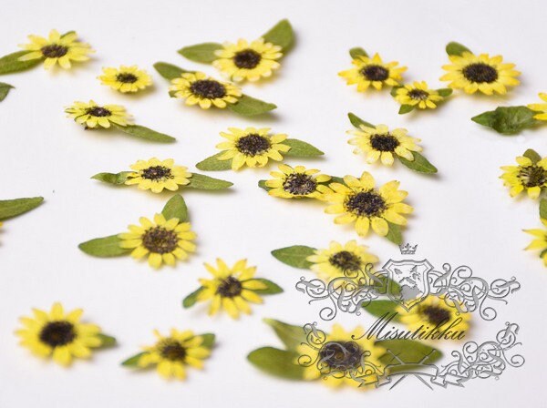 20 PCS Set (2-4CM) Pressed Mini Sunflower Pressed Tin Flower Real Dry Sunflowers Natural Yellow Flower Preserved Dried Flat Wild flowers