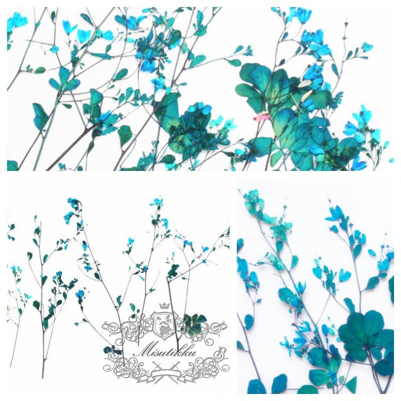 12 PCS Set (12-20CM) Pressed Blue flower Stems, Pressed Real Flowers, Blue Flower Dried Pressed Flat Flowers, Preserved Dried Flower Stems