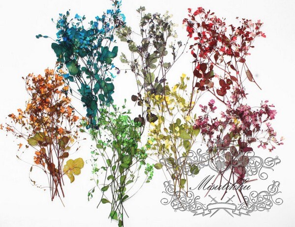 20 PCS /Pack (12-20CM) Pressed Flowers Stems, Mixed Color Pressed Flowers, Dried Flower Stems, Preserved Wild Flat Flowers, Real Dry Flower