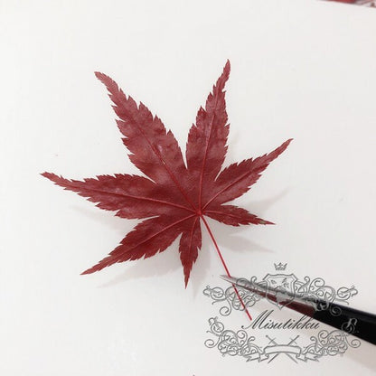 20 PCS Set (4-8CM) Dried Pressed Leaves, Red Dried Maple leaves, Preserved Dried Real Autumn Maple Leaves, Pressed Flower Flat Leaves