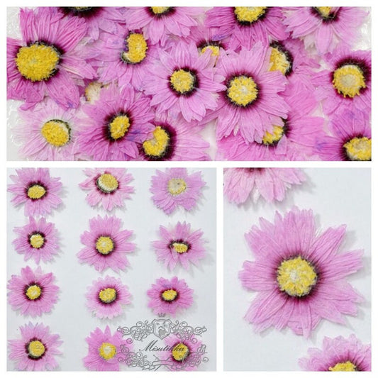 20 PCS Set (2-3CM) Pressed Pink Flowers, Real Dry Flower, Pressed Dried Flowers, Flat Pink Flowers, Pink Dry Flowers, Preserve Pink Flowers