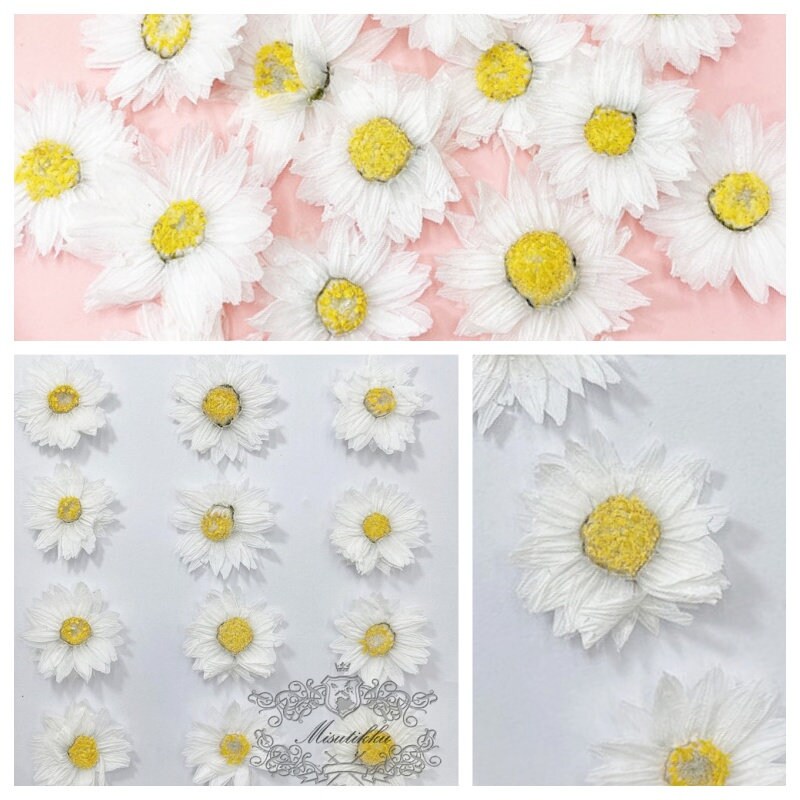 20 PCS Set (2-3CM) Pressed White Flowers, Real Flower, Pressed Dried Flowers, Flat White Flowers, White Dry Flowers, Preserve White Flowers