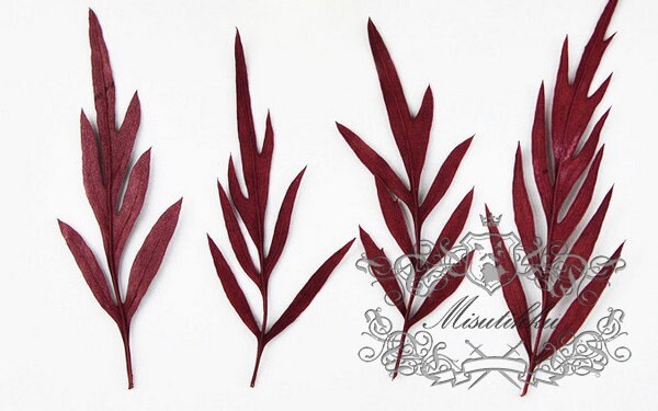 20 PCS Set (5-8CM) Pressed Flower Leaves Real Red leaves Ferns Preserved Dry Autumn Leaf Preserved Ferns Dried Leaves Pressed Flat Leaf