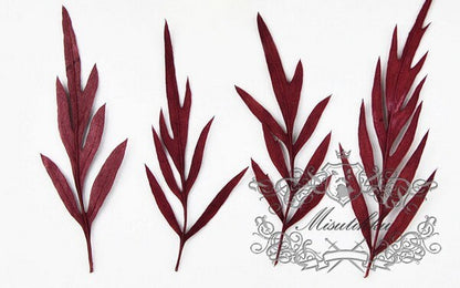 20 PCS Set (5-8CM) Pressed Flower Leaves Real Red leaves Ferns Preserved Dry Autumn Leaf Preserved Ferns Dried Leaves Pressed Flat Leaf