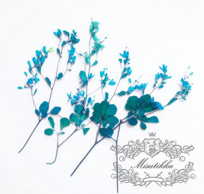 12 PCS Set (12-20CM) Pressed Blue flower Stems, Pressed Real Flowers, Blue Flower Dried Pressed Flat Flowers, Preserved Dried Flower Stems