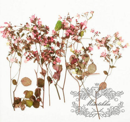 12 PCS/Set (5-8CM) Pressed Pink Flower Stems, Real Dried Pink Flowers, Flat Dried Flower Stems, Pink Pressed Flowers, Preserved Pink Flowers