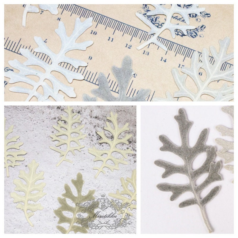 20 PCS Set (6-9CM) Pressed Silver Leaves, Pressed Flowers Leaves, Pressed Silver Fern, Dried Flat Leaves, Dry Real Leaves, Pressed Dry Leaf