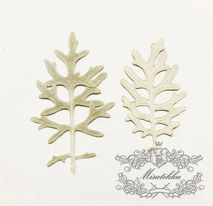 20 PCS Set (6-9CM) Pressed Silver Leaves, Pressed Flowers Leaves, Pressed Silver Fern, Dried Flat Leaves, Dry Real Leaves, Pressed Dry Leaf