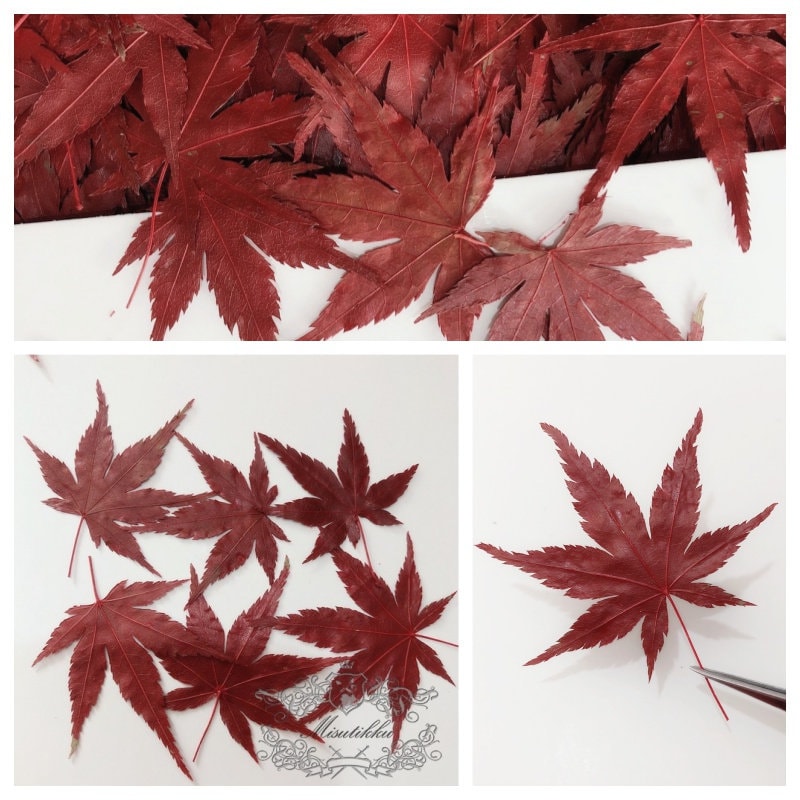 20 PCS Set (4-8CM) Dried Pressed Leaves, Red Dried Maple leaves, Preserved Dried Real Autumn Maple Leaves, Pressed Flower Flat Leaves