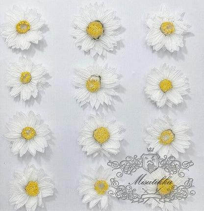 20 PCS Set (2-3CM) Pressed White Flowers, Real Flower, Pressed Dried Flowers, Flat White Flowers, White Dry Flowers, Preserve White Flowers