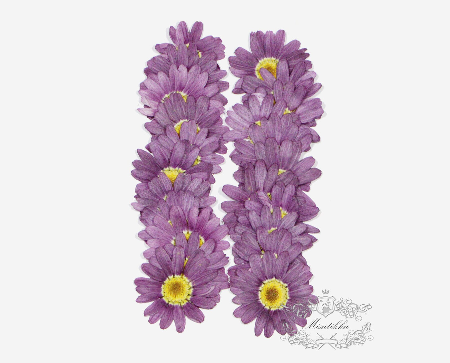 12 PCS Set (3-5CM) Pressed Purple Flowers, Real Purple Flowers, Preserved Dried Purple Flowers, Dried Pressed Flower, Purple Flat Flowers