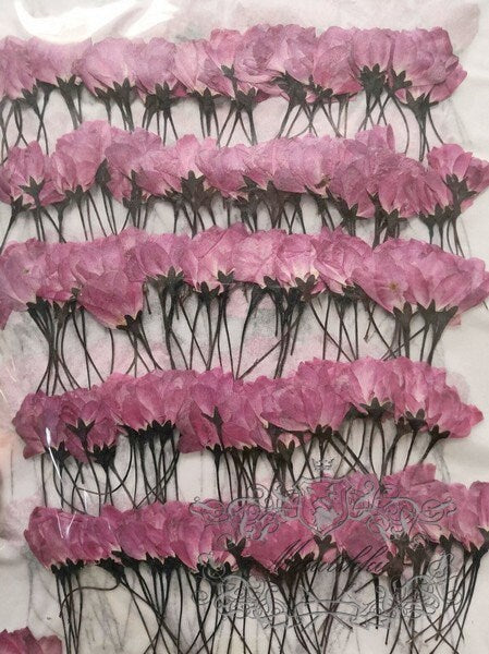 12 PCS Set (4-7CM) Pressed Cherry Blossom Buds Dried Flowers, Sakura Pressed Flowers, Pressed Flat Pink Flowers, Real Dried Cherry Blossom