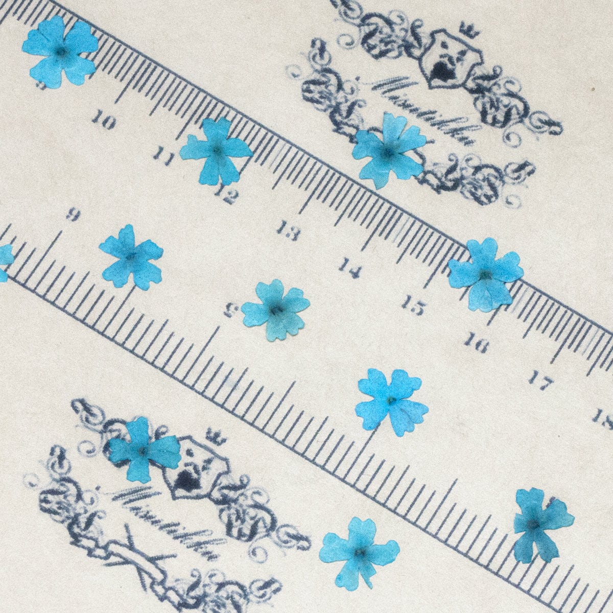 12 PCS Set (0.5-1.0CM) Pressed Tiny Flowers, Small Flat Pressed Flowers, Pressed Dried Blue Flowers, Real Tiny Flowers, Blue Dried Flowers,