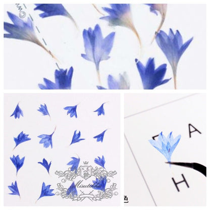 20 PCS Set (0.8-1.5CM) Pressed Tiny flowers, Pressed Small Blue Corn Flower, Real Dried Flower, Preserved Flat Blue Flower Buds For Nail Art