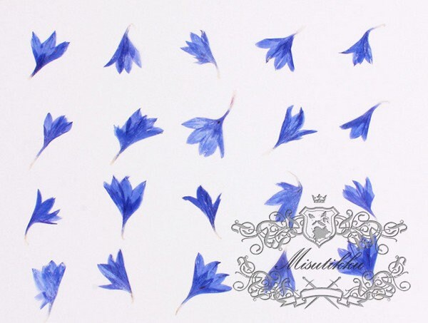 20 PCS Set (0.8-1.5CM) Pressed Tiny flowers, Pressed Small Blue Corn Flower, Real Dried Flower, Preserved Flat Blue Flower Buds For Nail Art