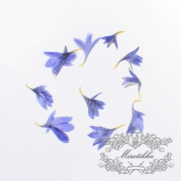 20 PCS Set (0.8-1.5CM) Pressed Tiny flowers, Pressed Small Blue Corn Flower, Real Dried Flower, Preserved Flat Blue Flower Buds For Nail Art