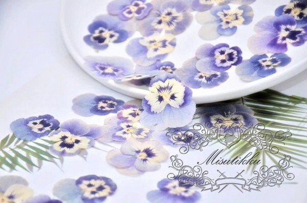 20 PCS set (3-5CM) Pressed Pansy Flowers, Preserved Dried Pansies, Pressed Blue Pansy Viola Flowers, Real Viola Pansy, Flat Dried Pansies