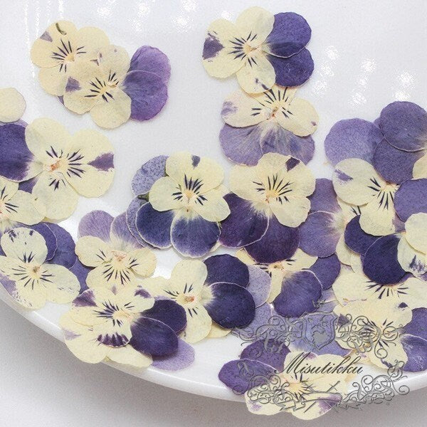 20 PCS set (2-3CM) Pressed Pansy Flowers, Preserved Dried Pansy, Pressed Blue Viola Pansy Flowers, Dry Viola Pansy, Real Flat Pansies