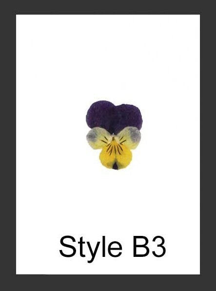 20 PCS set (2-3CM) Pressed Pansy Viola Flowers, Dried Pansy Flowers, Pressed Dried Viola Pansy Flowers, Flat Viola Real Dried Pansies