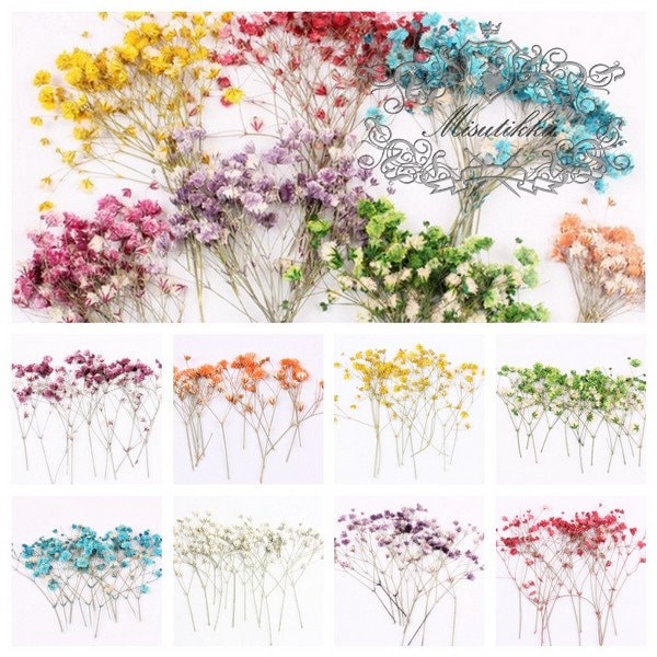 20 PCS Set (4-6CM) Pressed Baby's Breath Flowers Bulk, Real Pressed Dried Flowers, Dry Gypsophila Flowers, Preserved Flat Flower Stems