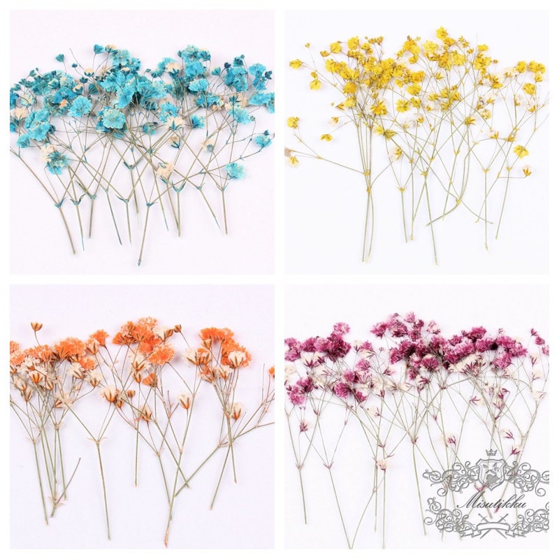 20 PCS Set (4-6CM) Pressed Baby's Breath Flowers Bulk, Real Pressed Dried Flowers, Dry Gypsophila Flowers, Preserved Flat Flower Stems