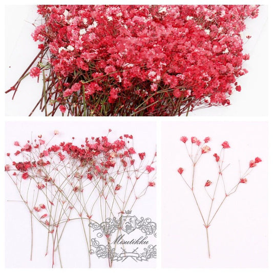 20 PCS Set (2 Sizes) Pressed Flower Red Baby's Breath, Dried Flower Stems, Pressed Flat Red Gypsophila Flowers, Preserved Real dry Flowers