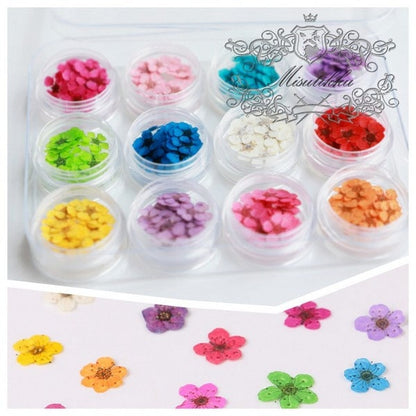 140 PCS /Box X 12 Color (0.5-0.8CM) Pressed Flowers Bridal Wreath, Dry Pressed Tiny Flowers For Nail, Small Flat Dried Flower For Nail Art