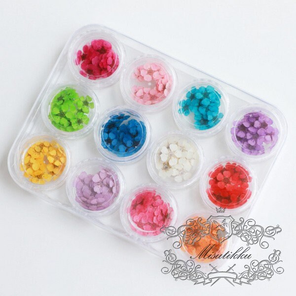 140 PCS /Box X 12 Color (0.5-0.8CM) Pressed Flowers Bridal Wreath, Dry Pressed Tiny Flowers For Nail, Small Flat Dried Flower For Nail Art