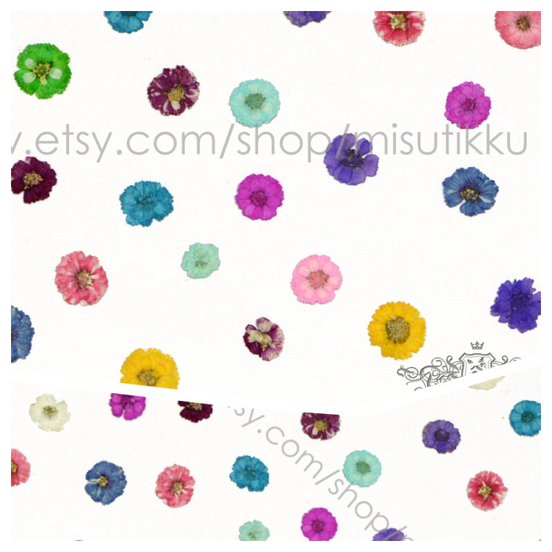 20 PCS Set (1-2CM) Dried Pressed Flowers, Mixed Flat Pressed Flowers Bulk, Pressed Dried Small Flowers , Dry Real Tiny Flower For Nail Art