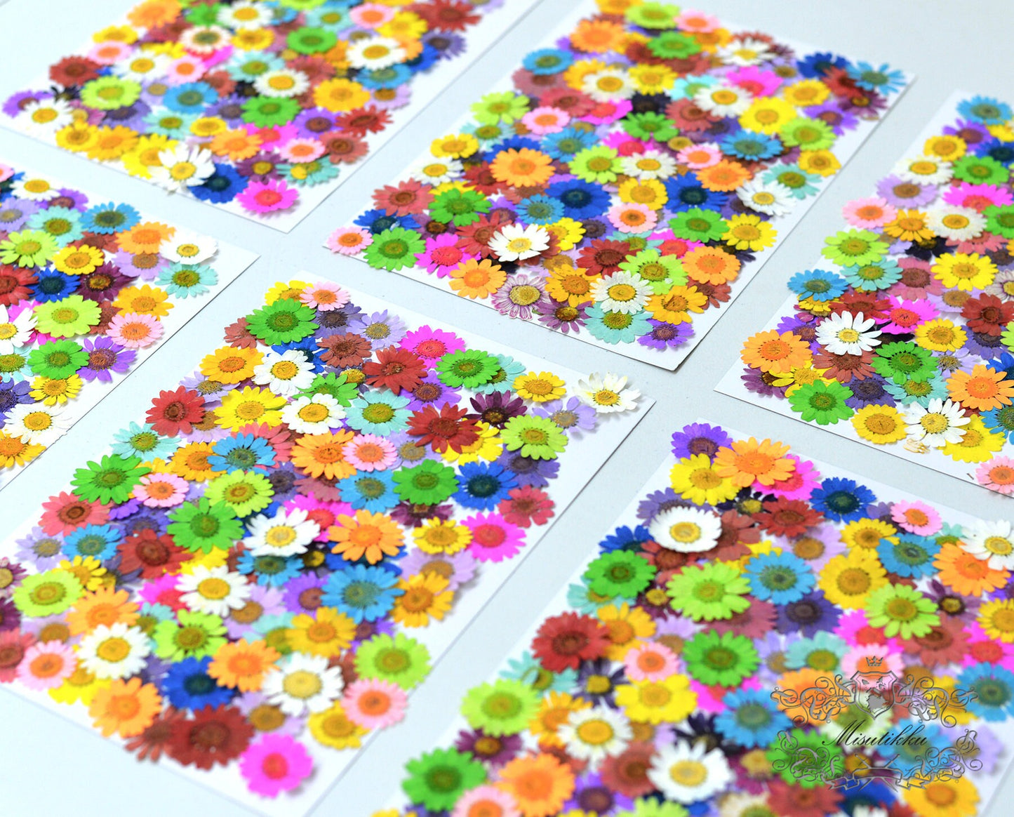 20 PCS Set (2-3CM) Mixed Pressed Daisy Dried Flower, Pressed Flat Daisy, Real Pressed Daisies Dry Flowers, Preserved Daisies Flower Bulk