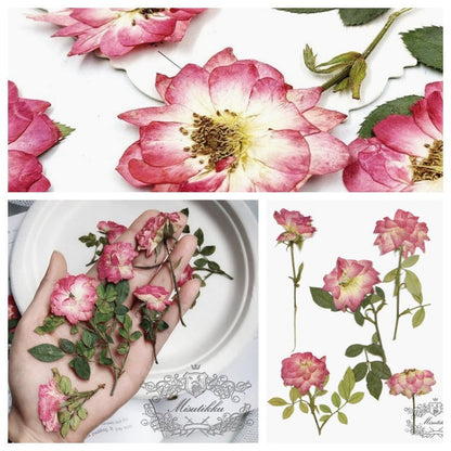 12 PCS Set (6-10CM) Pressed Dried Rose Flower Stems, Dried Pressed Flowers Rose Buds, Preserved Real Flowers, Flat Dried Rose Pressed Flower