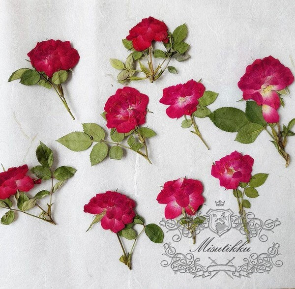 6 PCS Set (5-8CM) Pressed Red Rose Flower Stems, Real Pressed Dried Rose Flowers, Preserved Flat Rose Flowers, Rose Buds Dried Rose Flower