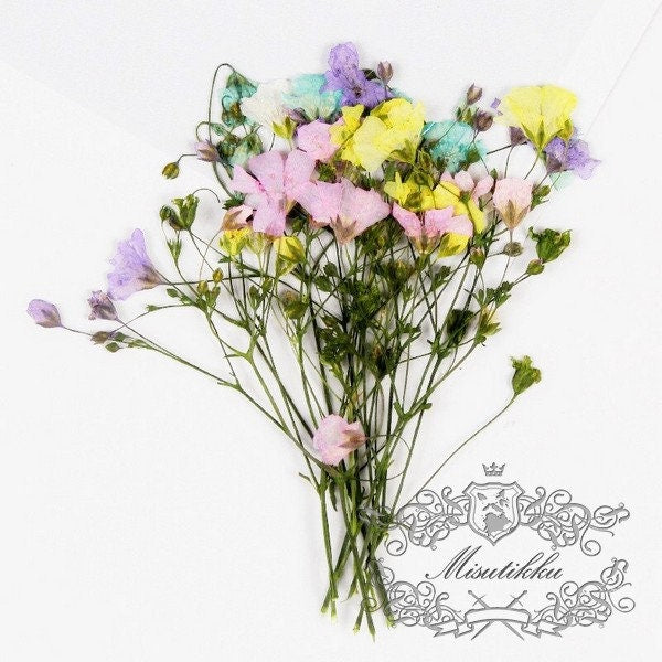 20 PCS Pack (6-9CM) Pressed Flower Stems, Dried Pressed Pink Flowers, Real Blue Flower Stems, Yellow Flat Flowers, Purple Dry Flower Stems