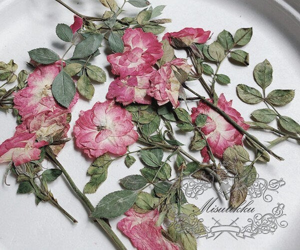 12 PCS Set (6-10CM) Pressed Dried Rose Flower Stems, Dried Pressed Flowers Rose Buds, Preserved Real Flowers, Flat Dried Rose Pressed Flower