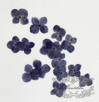 20 PCS/Set (2-3CM) Pressed Hydrangea Flowers, Natural Dried Pressed Flower, Dried Real Hydrangea Flowers, Preserved Flat Hydrangea Flowers