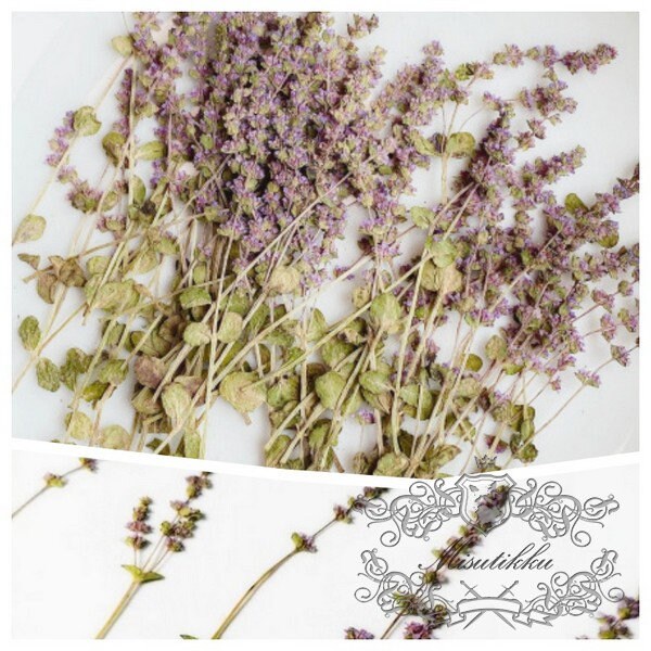 20 PCS Set Dried Pressed Purple Flower Stems Real Pressed Flowers Dry Natural Preserved Flowers Stems Real Flat Flower Stems (5-8CM)