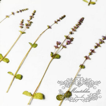 20 PCS Set Dried Pressed Purple Flower Stems Real Pressed Flowers Dry Natural Preserved Flowers Stems Real Flat Flower Stems (5-8CM)