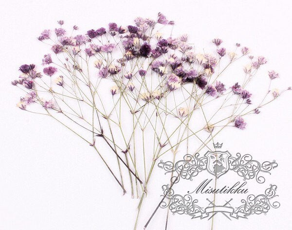 20 PCS/Set (4-6CM) Pressed Flower Baby’s Breath, Pressed Purple Flower Stems, Dried Real Gypsophila Flowers, Preserved Dry Flat Babys Breath