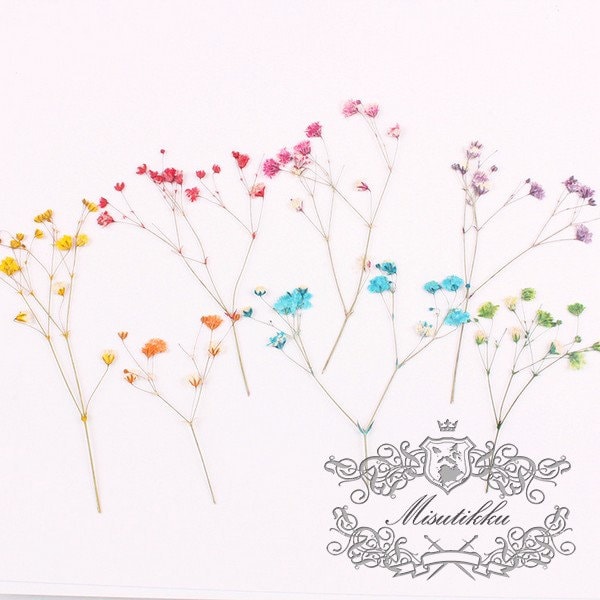 20 PCS Set (4-6CM) Pressed Baby's Breath Flowers Bulk, Real Pressed Dried Flowers, Dry Gypsophila Flowers, Preserved Flat Flower Stems