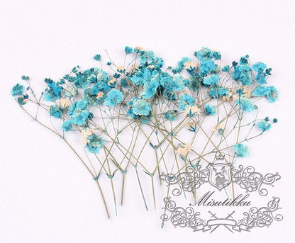 20 PCS/Pack (4-6CM) Pressed Blue Baby's Breath Flowers, Pressed Flower Pack, Dry Gypsophila Flowers Bulk Preserved Dried Flat Flower Stems