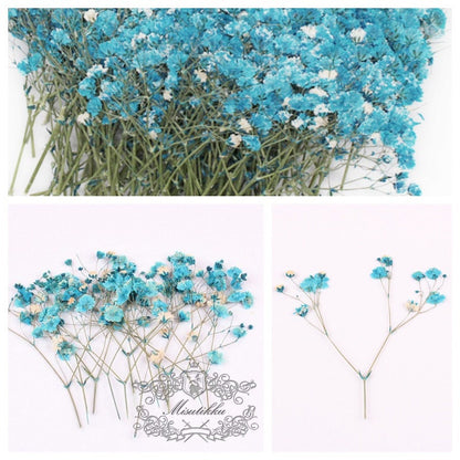 20 PCS/Pack (4-6CM) Pressed Blue Baby's Breath Flowers, Pressed Flower Pack, Dry Gypsophila Flowers Bulk Preserved Dried Flat Flower Stems