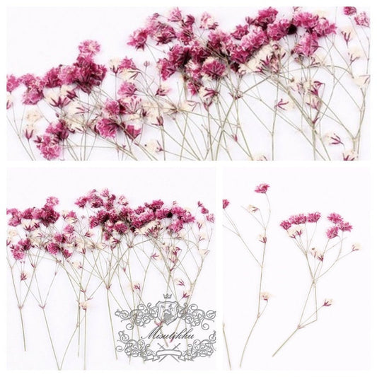 20 PCS Set (4-6CM) Pressed Baby's Breath Pink Flowers, Pressed Flat Pink Flower Stems, Real Gypsophila Flowers, Preserved Dried Flower